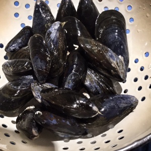mussels with orange and fennel